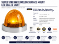 3.5" AMBER/AMBER SUPER STAR 1LED WATERMELON W/SS BEZEL