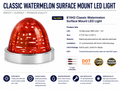 RED/RED CLASSIC WATERMELON SURFACE MNT 18LED W/SS BEZEL